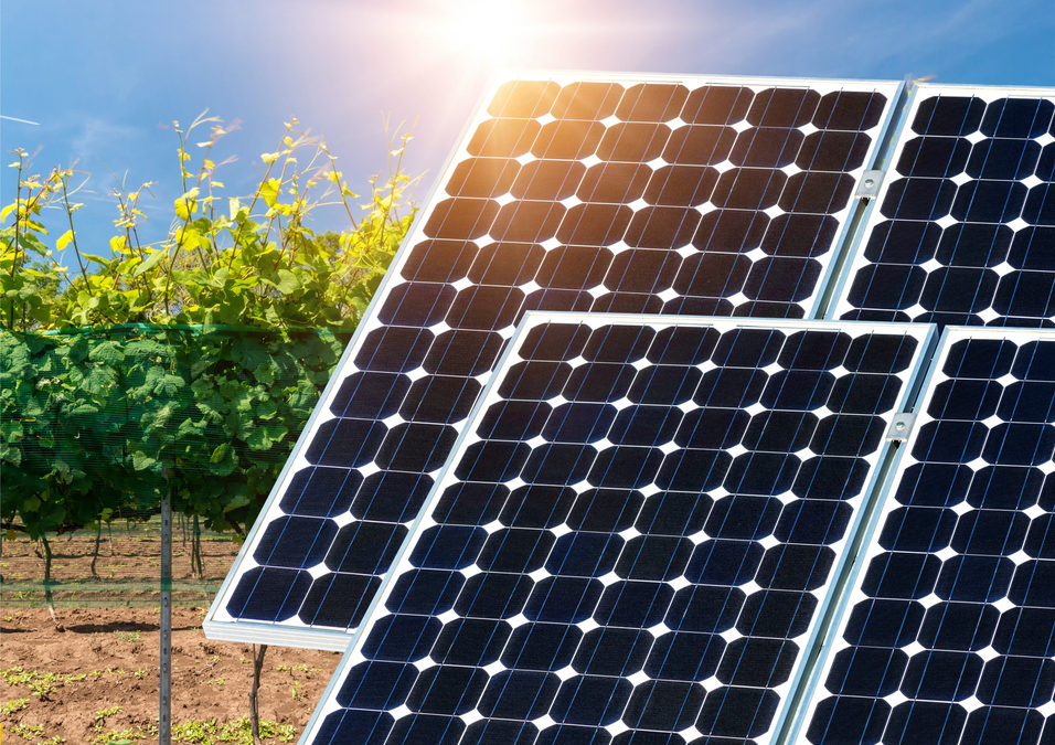Der neue Katalysator der Solarenergie entfacht jahrzehntelanges Wachstum
